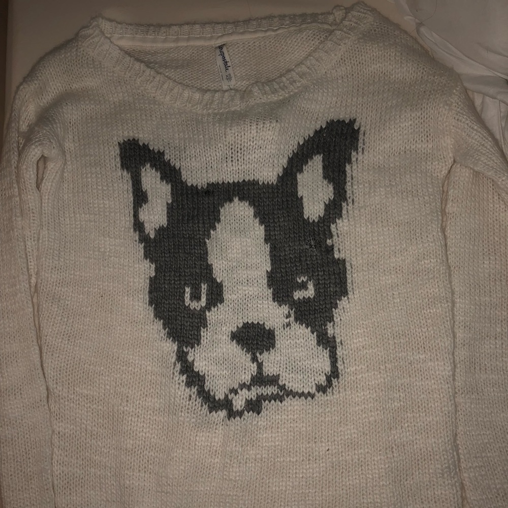 aero pug sweater