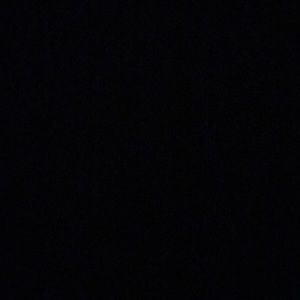 Meet your Posher, Cody