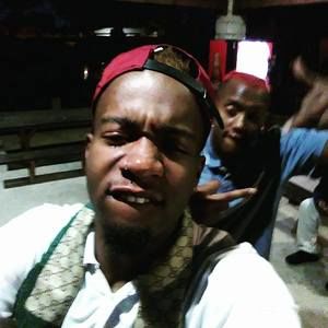 Meet your Posher, Roy