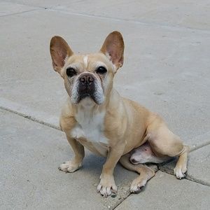 Meet your Posher, Jodi