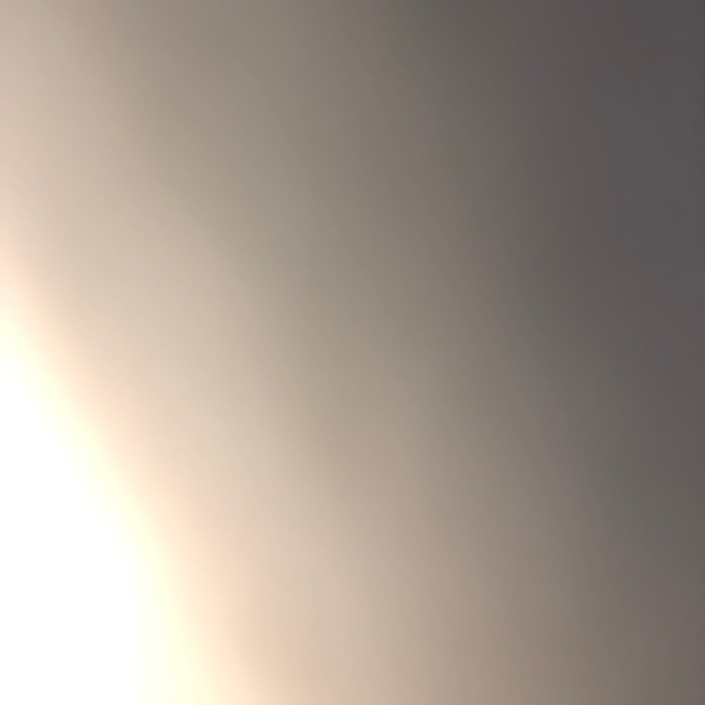 Meet your Posher, Malik