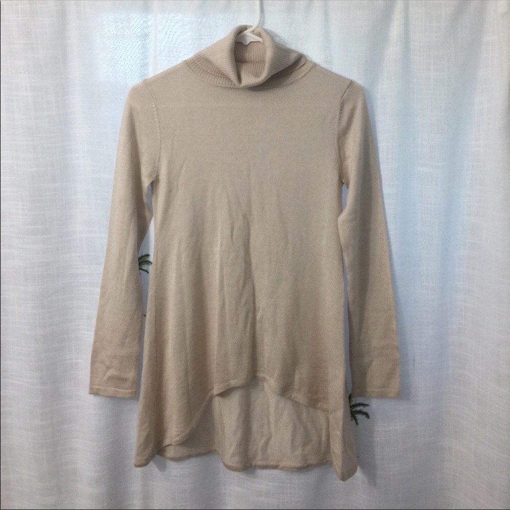 Turtleneck Sweater