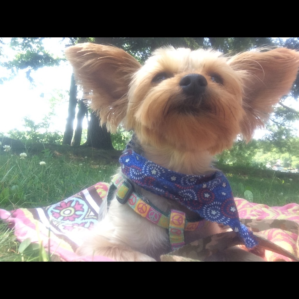 Meet your Posher, Jen