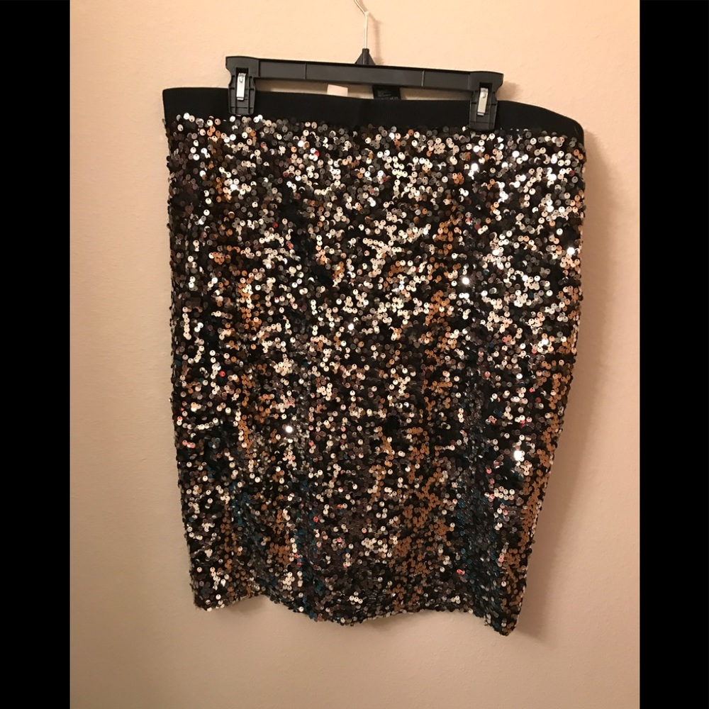 Sequined Skirt (the sequins are silver, no slit)