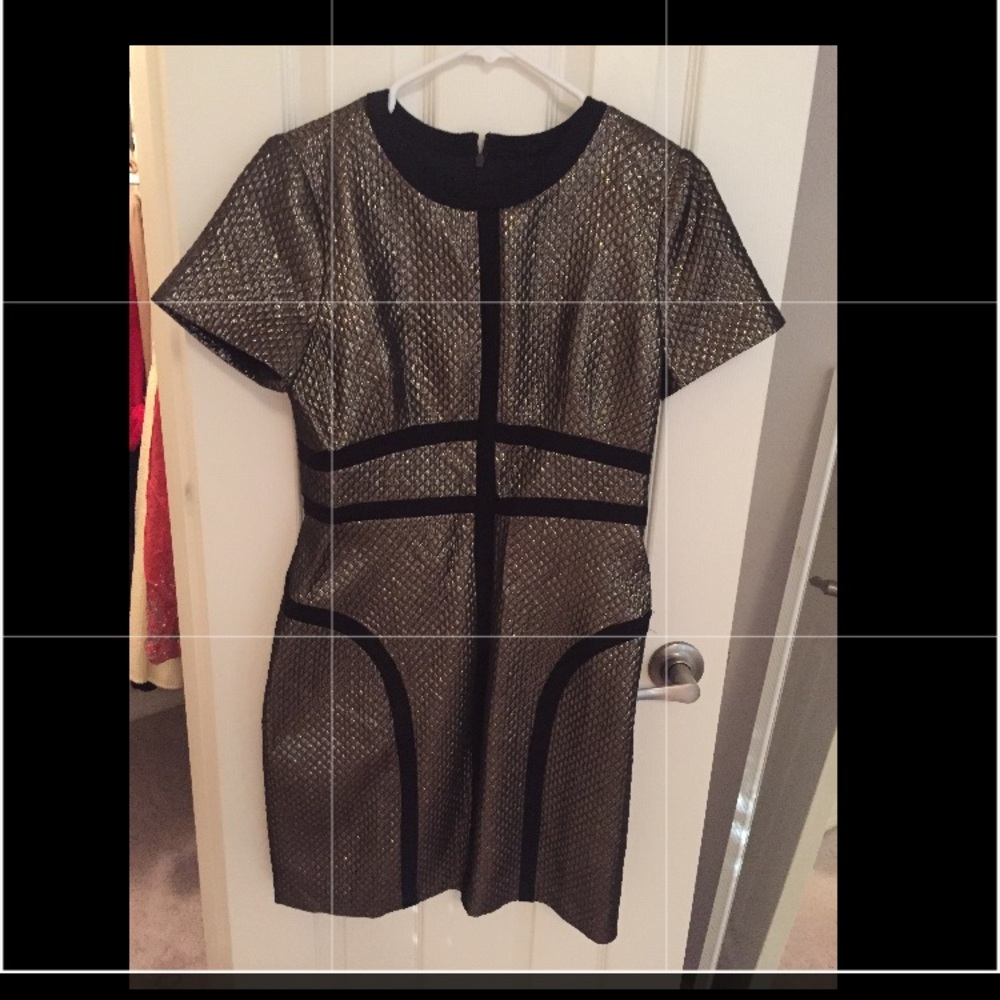 Brand new shift dress