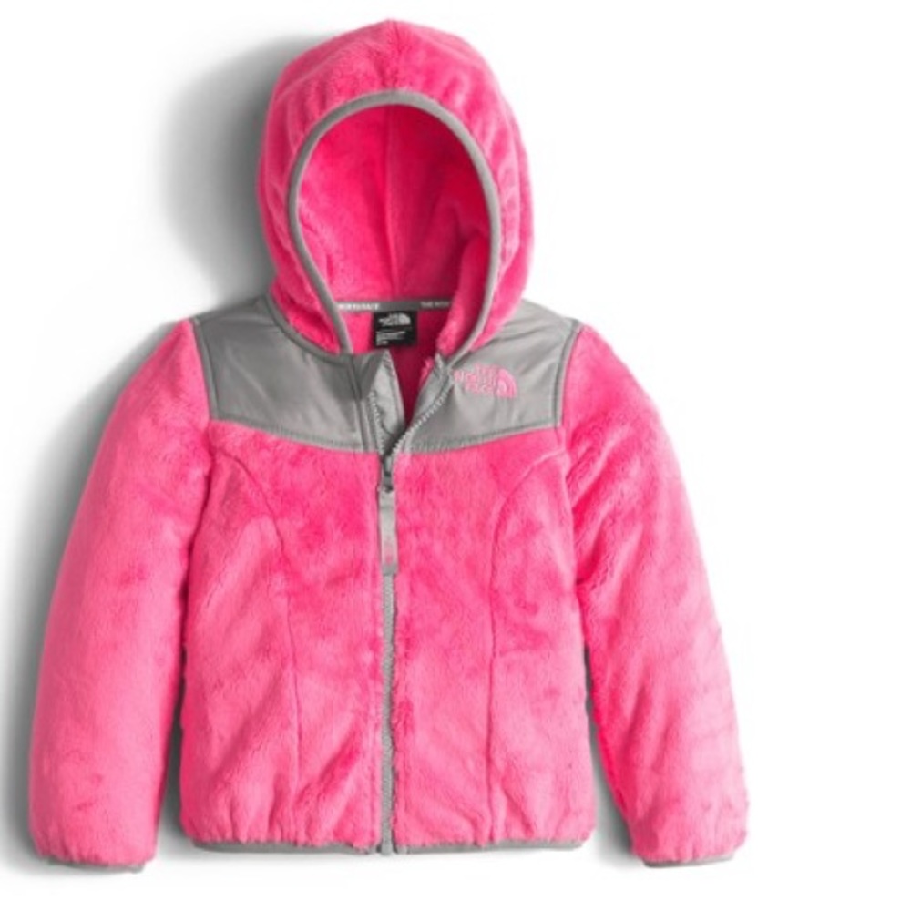 Toddler North Face Fleece