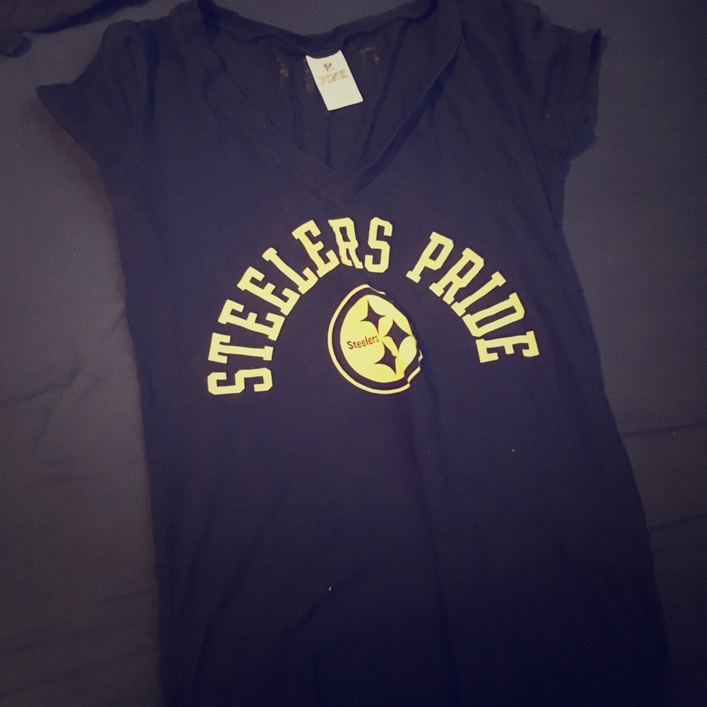 VS pink steeler outfit