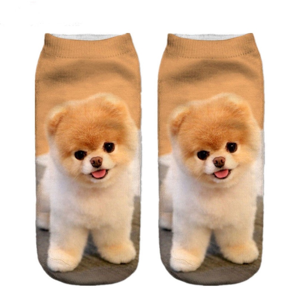 Adorable Pomeranian Socks, NWT