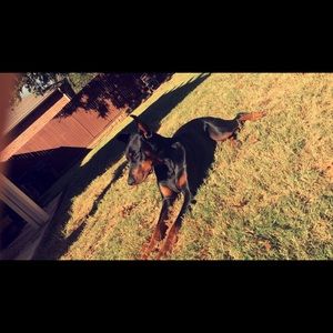 Meet your Posher, Ana