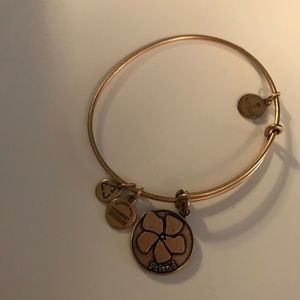 Alex and Ani