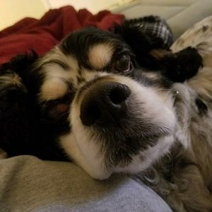 Meet your Posher, Irene