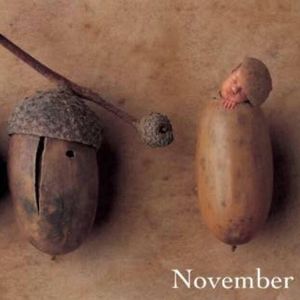 Meet your Posher, Roxy