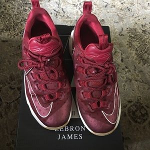 Lebron James XIII low