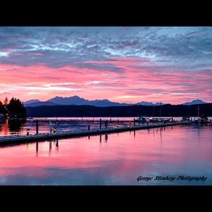 Meet your Posher, Robin