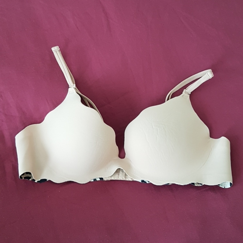 VS Dream Angels Secret Embrace Push Up Bra