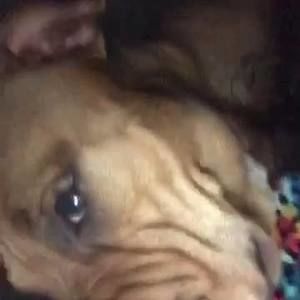 Meet your Posher, Koryn