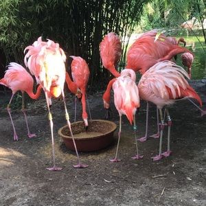 Meet your Posher, Cynthia