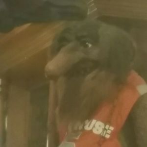 Meet your Posher, Jamie