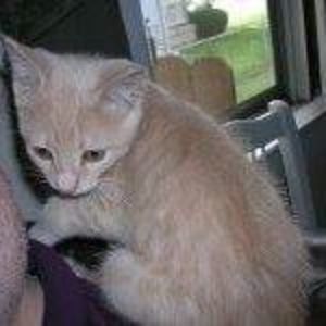 Meet your Posher, Keith