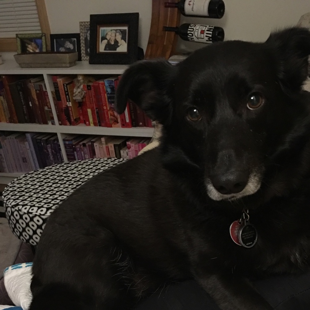 Meet your Posher, Kendra