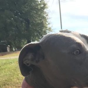 Meet your Posher, April