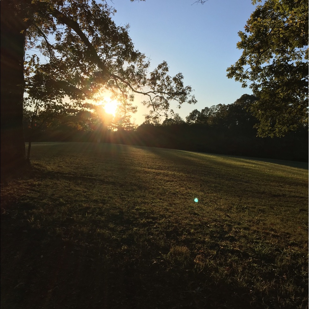 Meet your Posher, Alexis