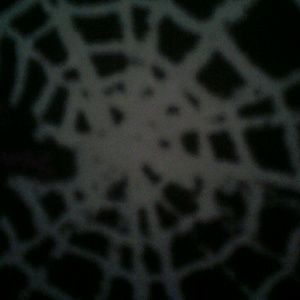 Meet your Posher, Wade