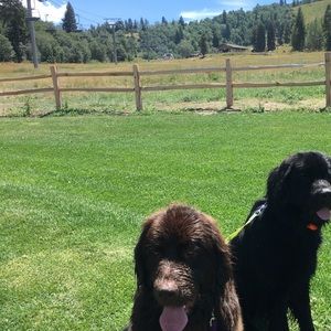 Meet your Posher, Tara