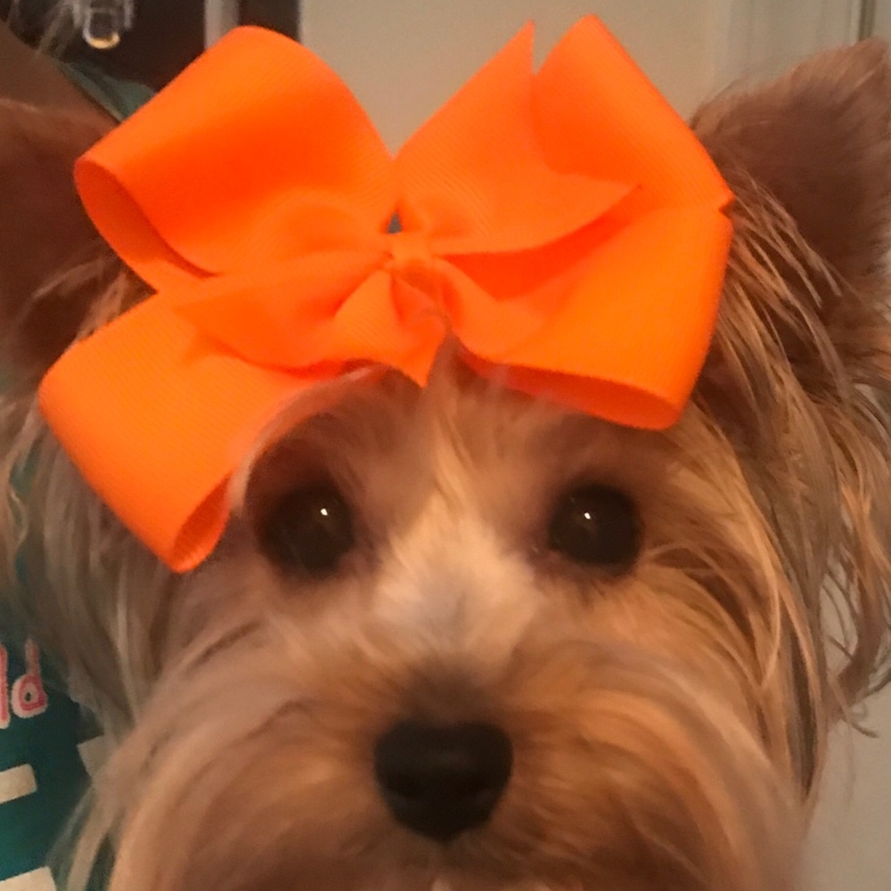 Meet your Posher, Nicole