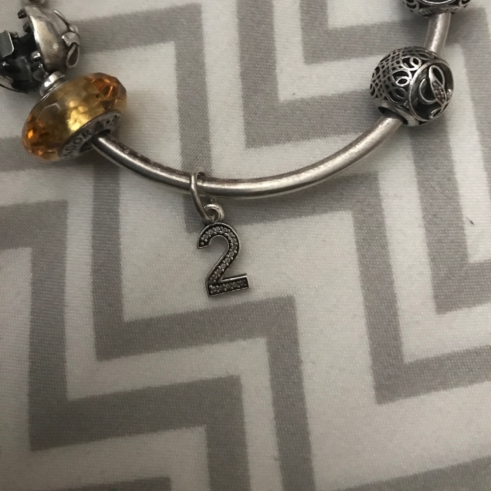 #2 pandora charm