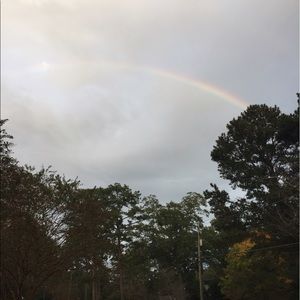 Meet your Posher, Sissy