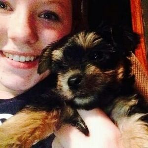 Meet your Posher, Grace