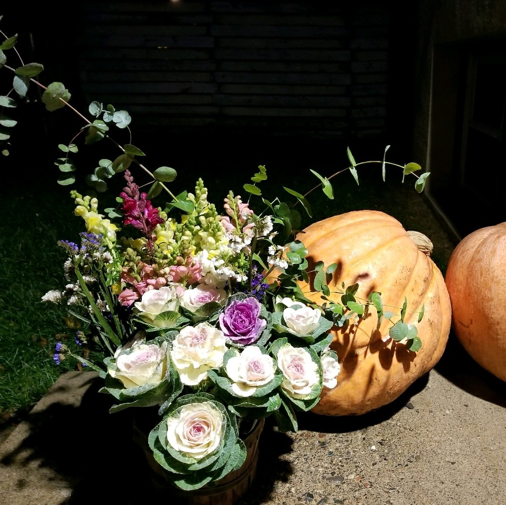 Meet your Posher, May