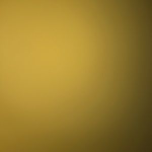 Meet your Posher, Max