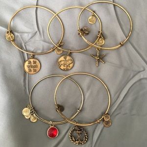Alex and Ani Charm Bangles