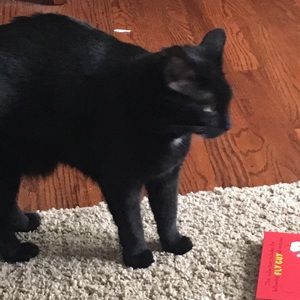 Meet your Posher, Sara