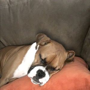 Meet your Posher, Robin