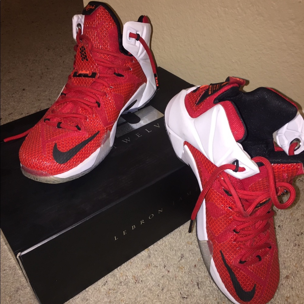 LeBron 12 “heart of a lion”