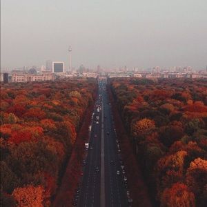 Meet your Posher, Izzy