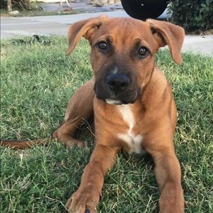 Meet your Posher, Phillip