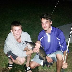 Meet your Posher, Dylan