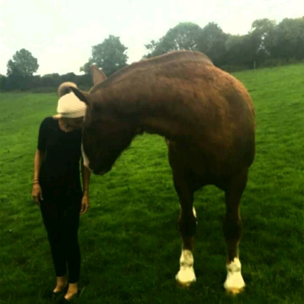 Meet your Posher, Audrey