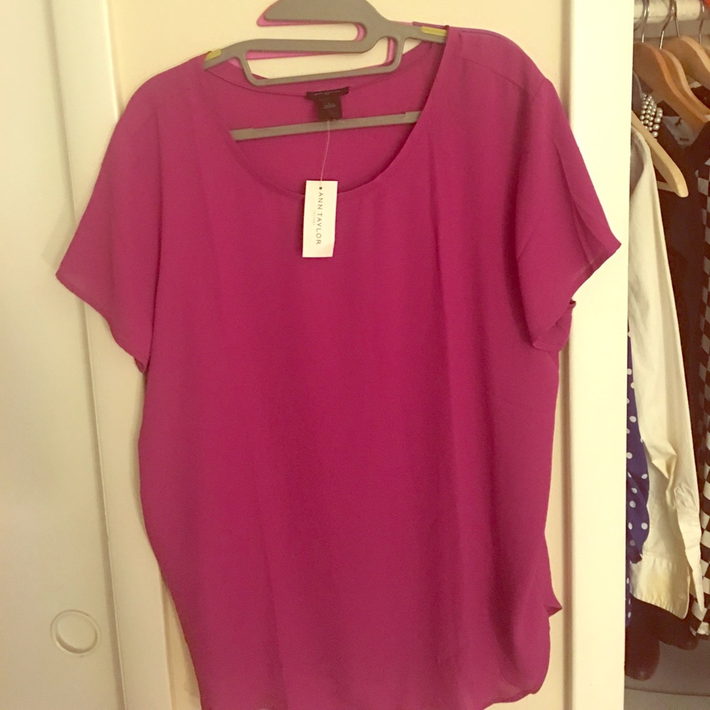 Ann Taylor