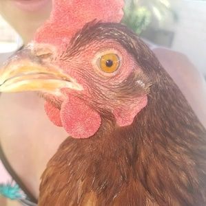 Meet your Posher, Andrea