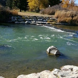 Meet your Posher, Cherylann