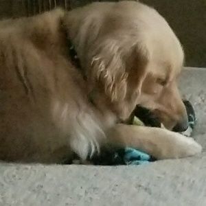 Meet your Posher, Aidan