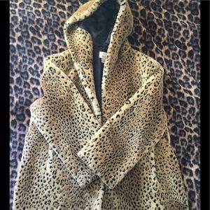 Cheetah heavy coat
