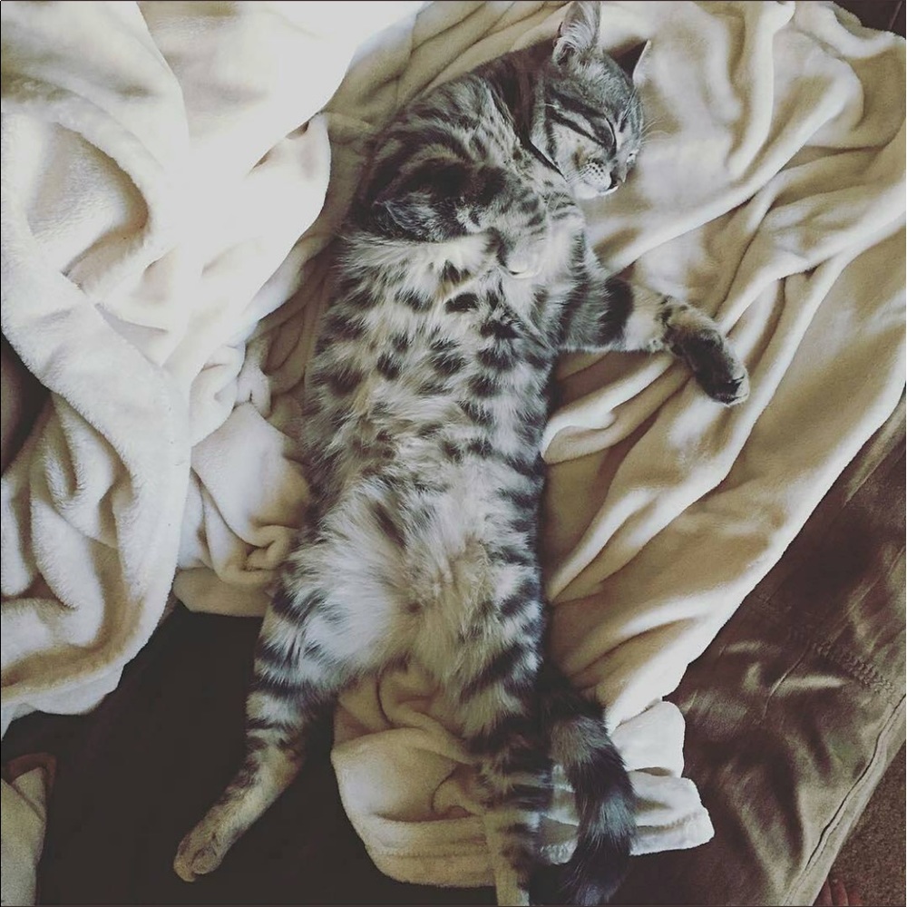 Meet your Posher, Chante