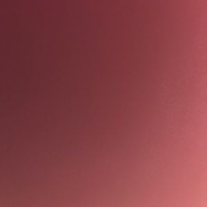 Meet your Posher, Penny