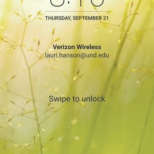 Meet your Posher, Lauri